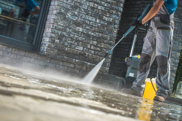 Best Paint Preparation  in Redwood Valley, CA