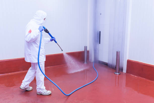 Professional  Pressure Washing Services in Redwood Valley, CA